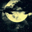 عکس کاربر - Arvin.hajti