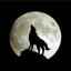 عکس کاربر - 🐺NR🌙