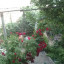 عکس کاربر - سهیل