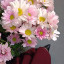 عکس کاربر - فاطمه زهرا