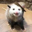 عکس کاربر - opossum enthusiast