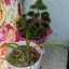 عکس کاربر - هستی 