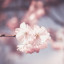 عکس کاربر - زهرا