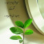 عکس کاربر - mo_19