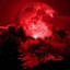 عکس کاربر - {♪×Red Moon×♪}
