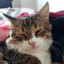 عکس کاربر - 🐈moein🐈