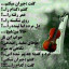 عکس کاربر - danny