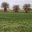 عکس کاربر -    عارف
