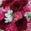 عکس کاربر - فاطمه دورقی
