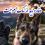 عکس کاربر - SOLTAN