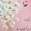 عکس کاربر - سعید