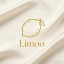 عکس کاربر - Lemon accessory
