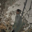 عکس کاربر - ابوالفضل 