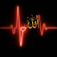 عکس کاربر - علی