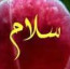 عکس کاربر - darvesh Kooli