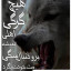 عکس کاربر - گرگ تنها 