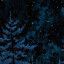 عکس کاربر - 💙🖤
