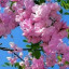 عکس کاربر - علی کاظمی