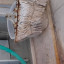 عکس کاربر - زاگرس حیدری