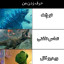 عکس کاربر - LBR.T