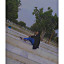 عکس کاربر - Miss._.zynb