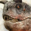 عکس کاربر - water-drinking bull