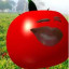 عکس کاربر - Tomato gogoli