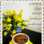 عکس کاربر - ♡ 2 کفتر عاشق♡💏