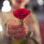 عکس کاربر - یاحسین