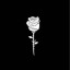 عکس کاربر - 🥀🎼ᏂᏗᎴᎥ🎼🥀