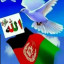عکس کاربر - مجتبی شفایی 