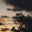 عکس کاربر - •~¹°”ˆ˜¨ ᏦᎬᎥᏉᎪᏁ ¨˜ˆ”°¹~•