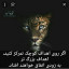 عکس کاربر - محمدعلی جهان 