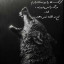 عکس کاربر - Aylin