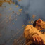 عکس کاربر - Yasin 