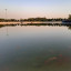 عکس کاربر - علی احمدی
