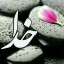 عکس کاربر - ناشناس