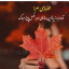 عکس کاربر - میترا