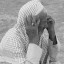عکس کاربر - مجید قزاق