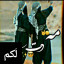 عکس کاربر - ༒𝑵𝒂𝒛𝒂𝒏𝒊𝒏༒
