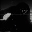 عکس کاربر - NAZY_7L