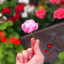 عکس کاربر - سیسی