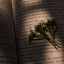 عکس کاربر - ،،،،