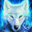 عکس کاربر - گرگ