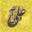 عکس کاربر - امیر