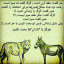 عکس کاربر - mom