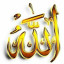 عکس کاربر - محمدعشقی