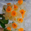 عکس کاربر - خانی