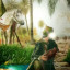 عکس کاربر - امیر حسین