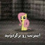 عکس کاربر - Rəyhaneh